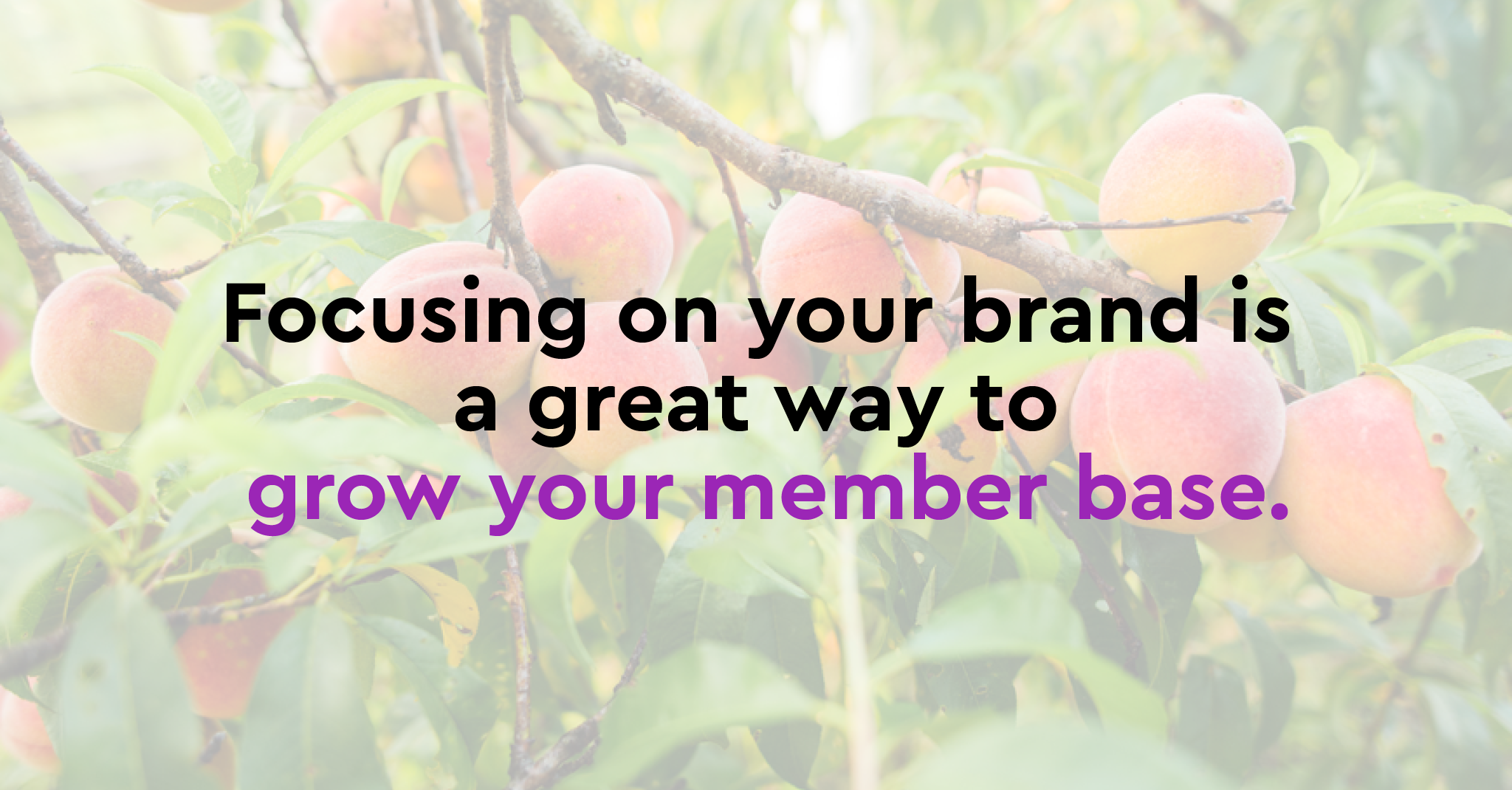 Focusing on your brand is a great way to grow your member base.