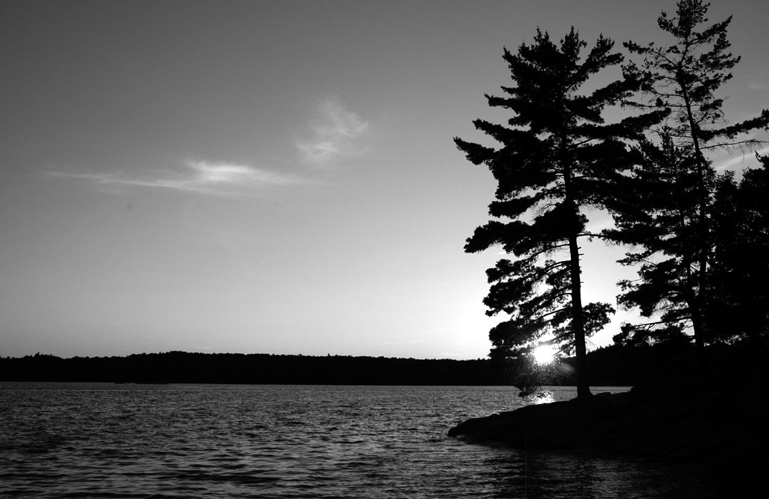 Sunset through the pines at Chapel Point on Gull Lake