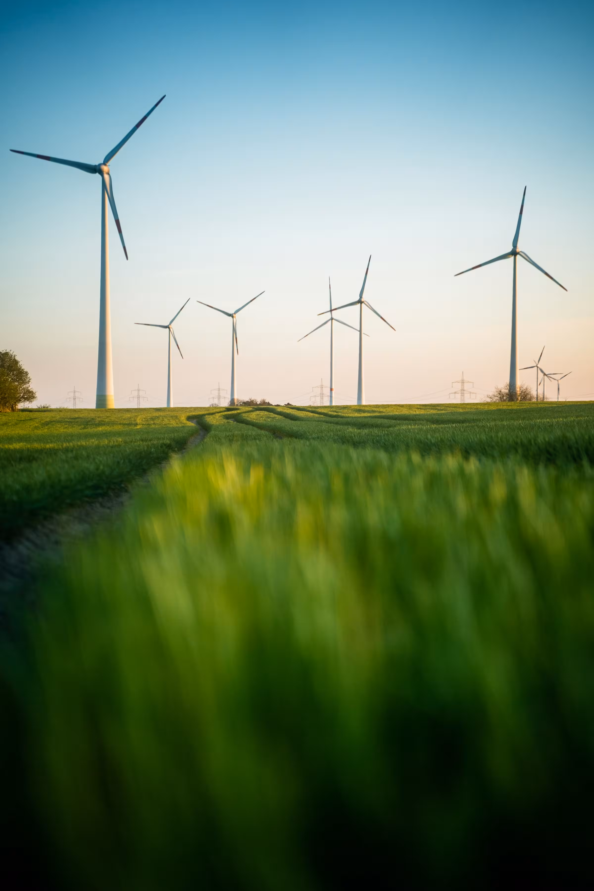 Green field with wind turbines under a clear blue sky at sunrise or sunset.