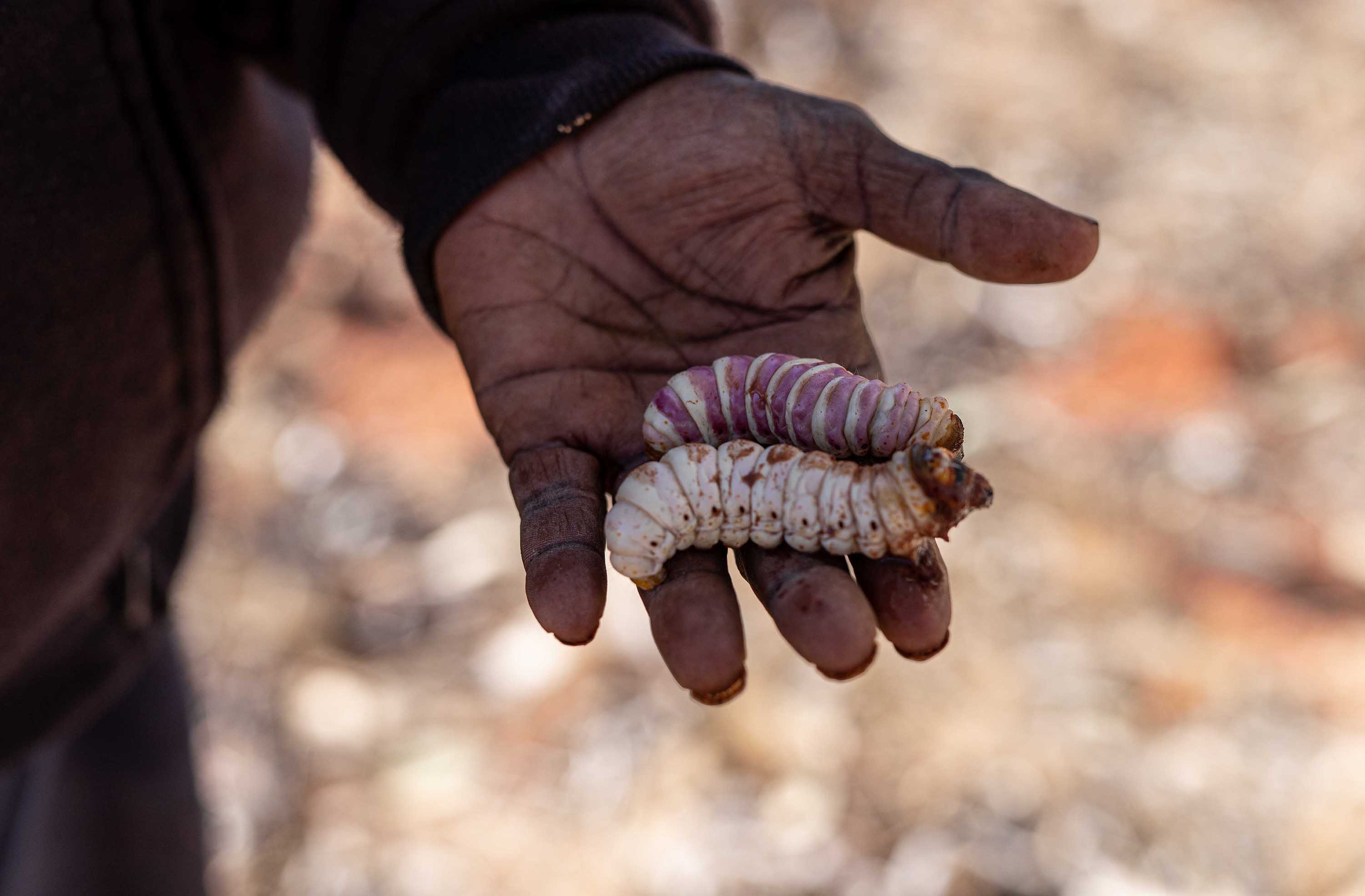Documentary photograph from Honestly's work with Pintupi communities in Australia's Western Desert