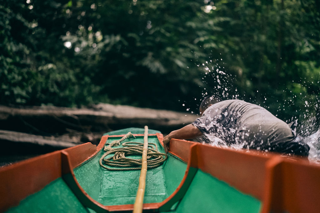 Photograph from Honestly's Get Lost assignment on Borneo's orangutans in Sarawak