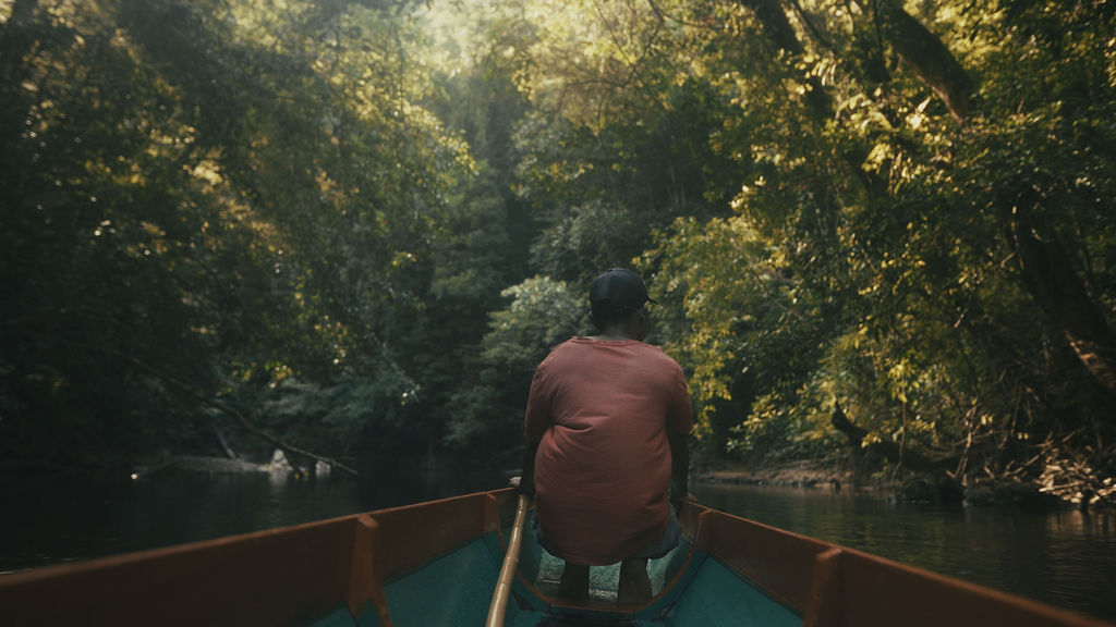 Photograph from Honestly's Get Lost assignment on Borneo's orangutans in Sarawak
