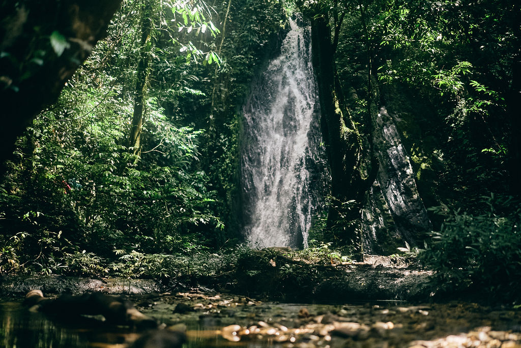 Photograph from Honestly's Get Lost assignment on Borneo's orangutans in Sarawak