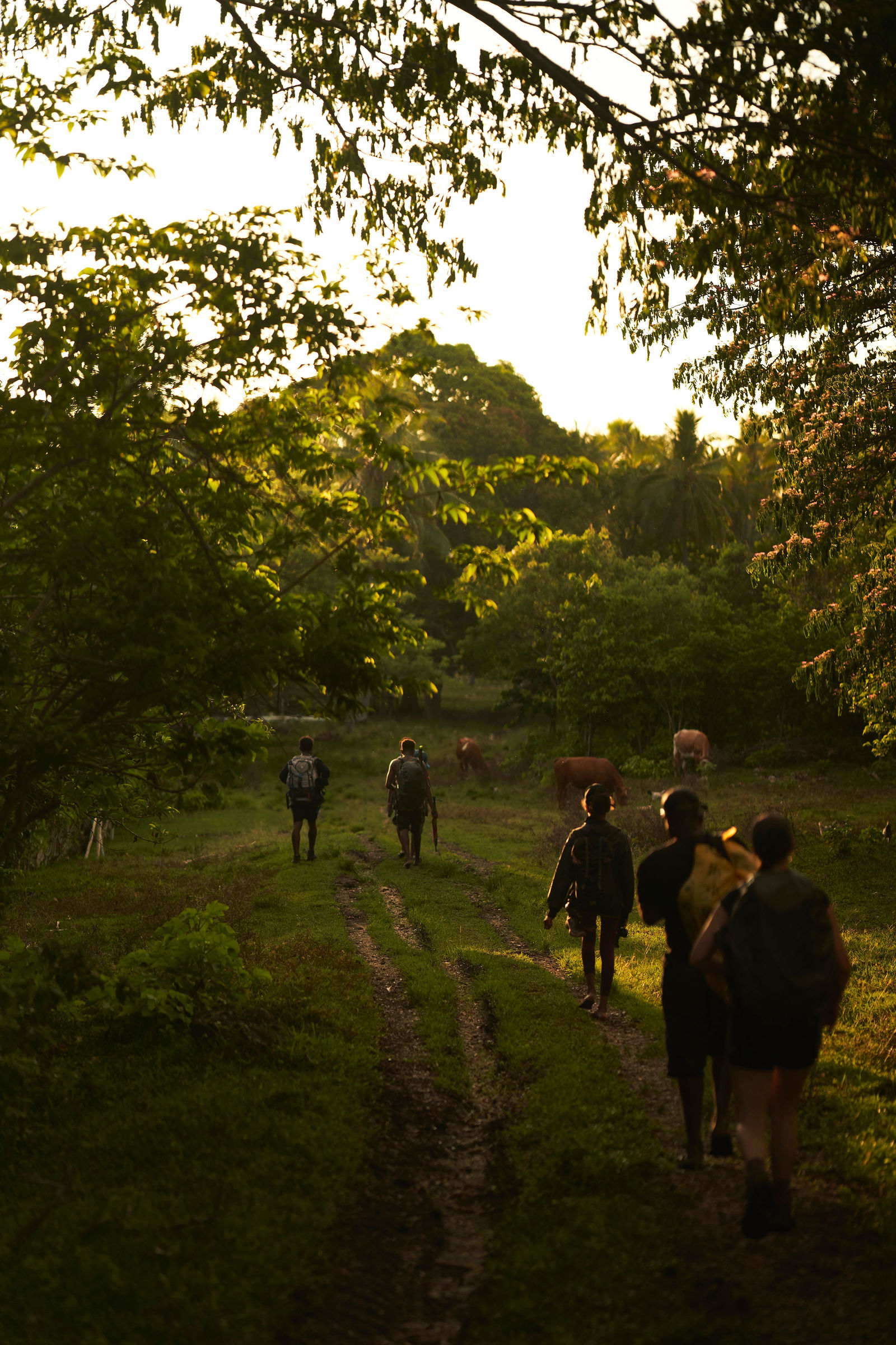 Photograph from Honestly's Get Lost travel assignment in Vanuatu