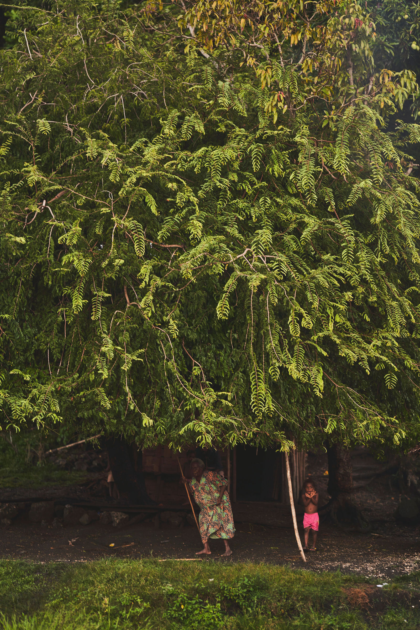 Photograph from Honestly's Get Lost travel assignment in Vanuatu
