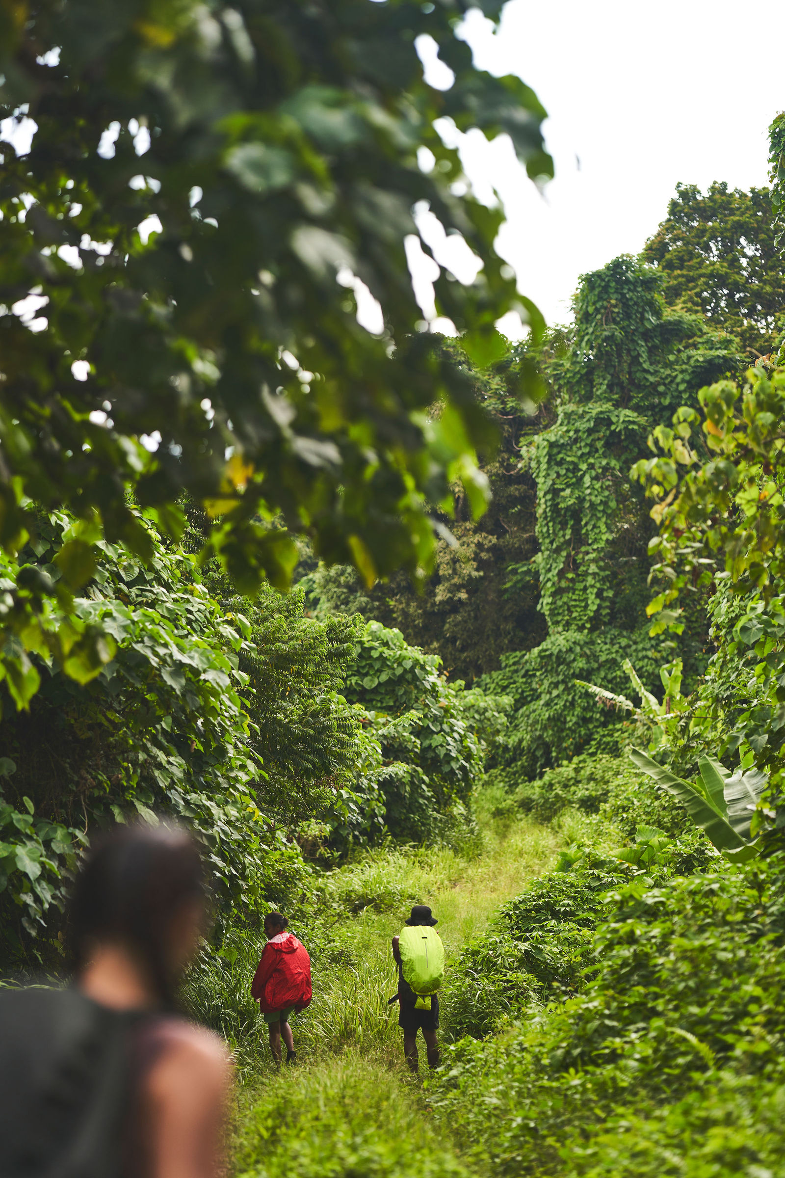 Photograph from Honestly's Get Lost travel assignment in Vanuatu