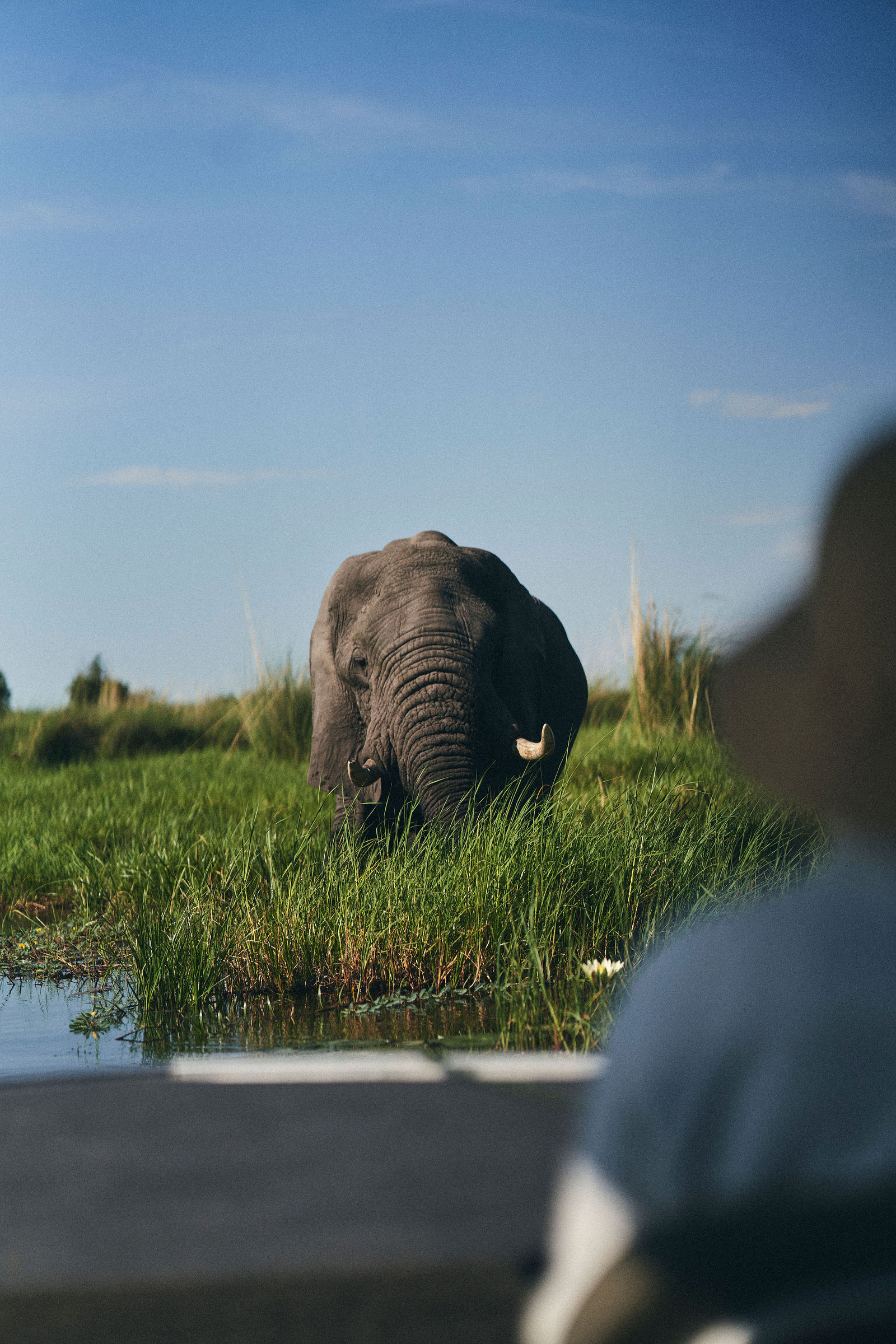 Photograph from Honestly's Get Lost travel assignment in Botswana