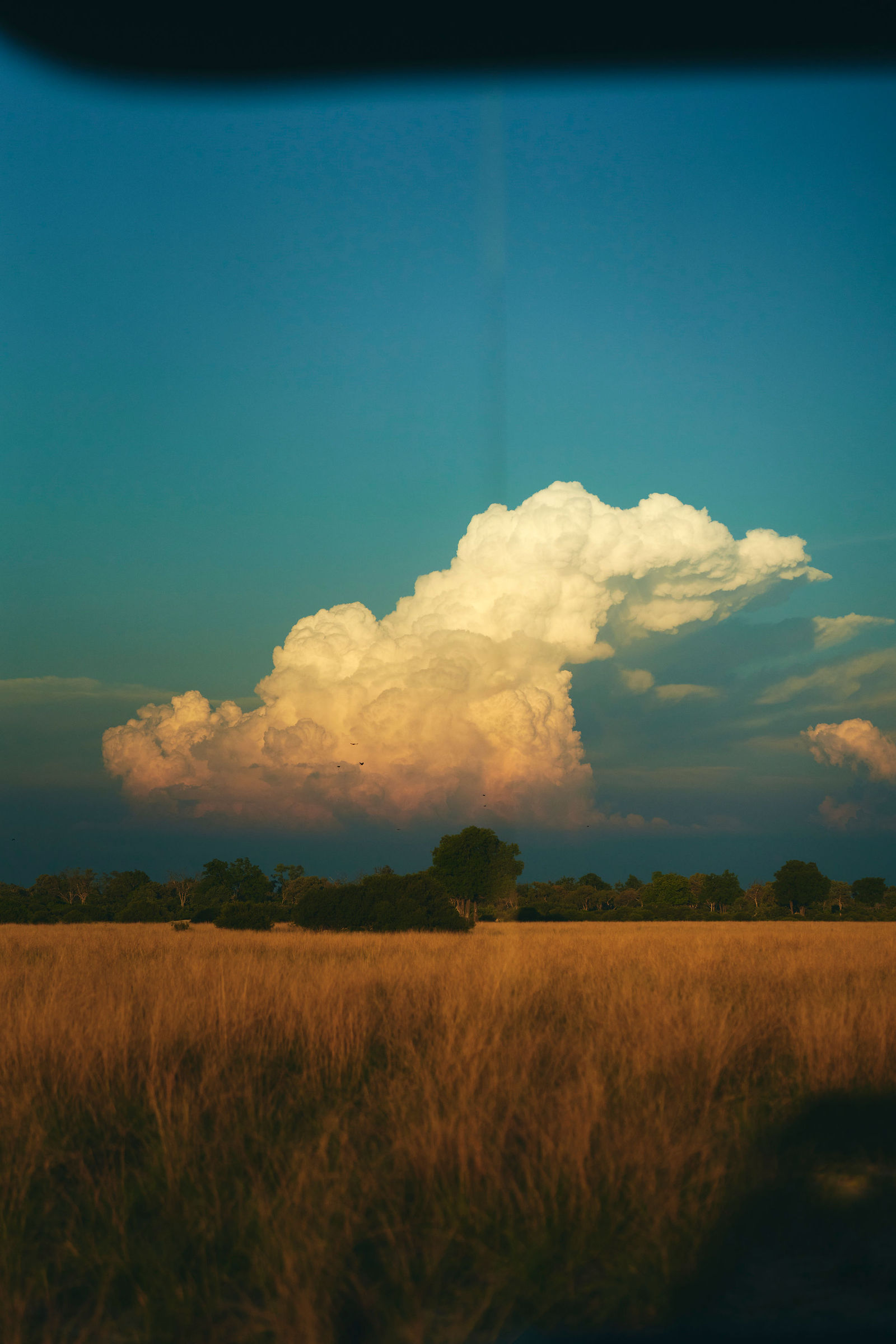 Photograph from Honestly's Get Lost travel assignment in Botswana