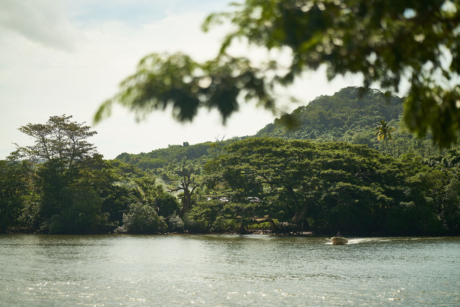 Photograph from Honestly's Kava brand shoot in Vanua Levu, Fiji