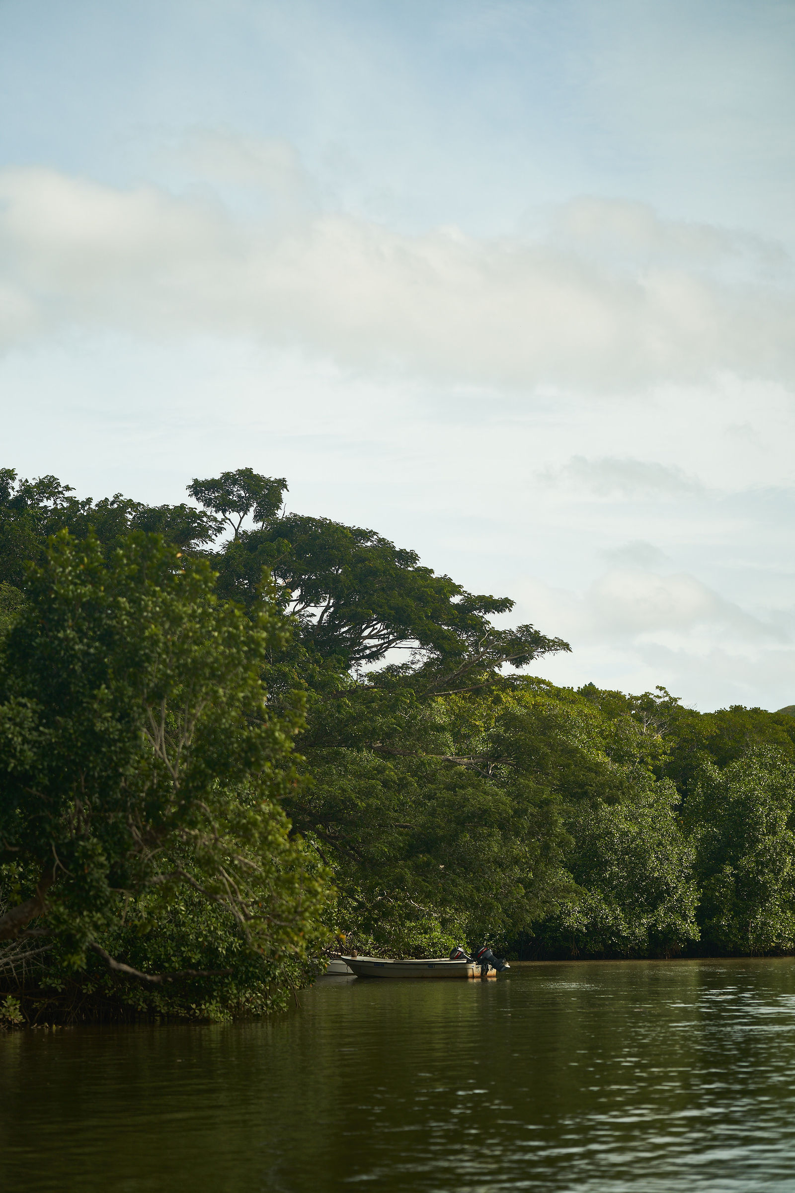 Photograph from Honestly's Kava brand shoot in Vanua Levu, Fiji