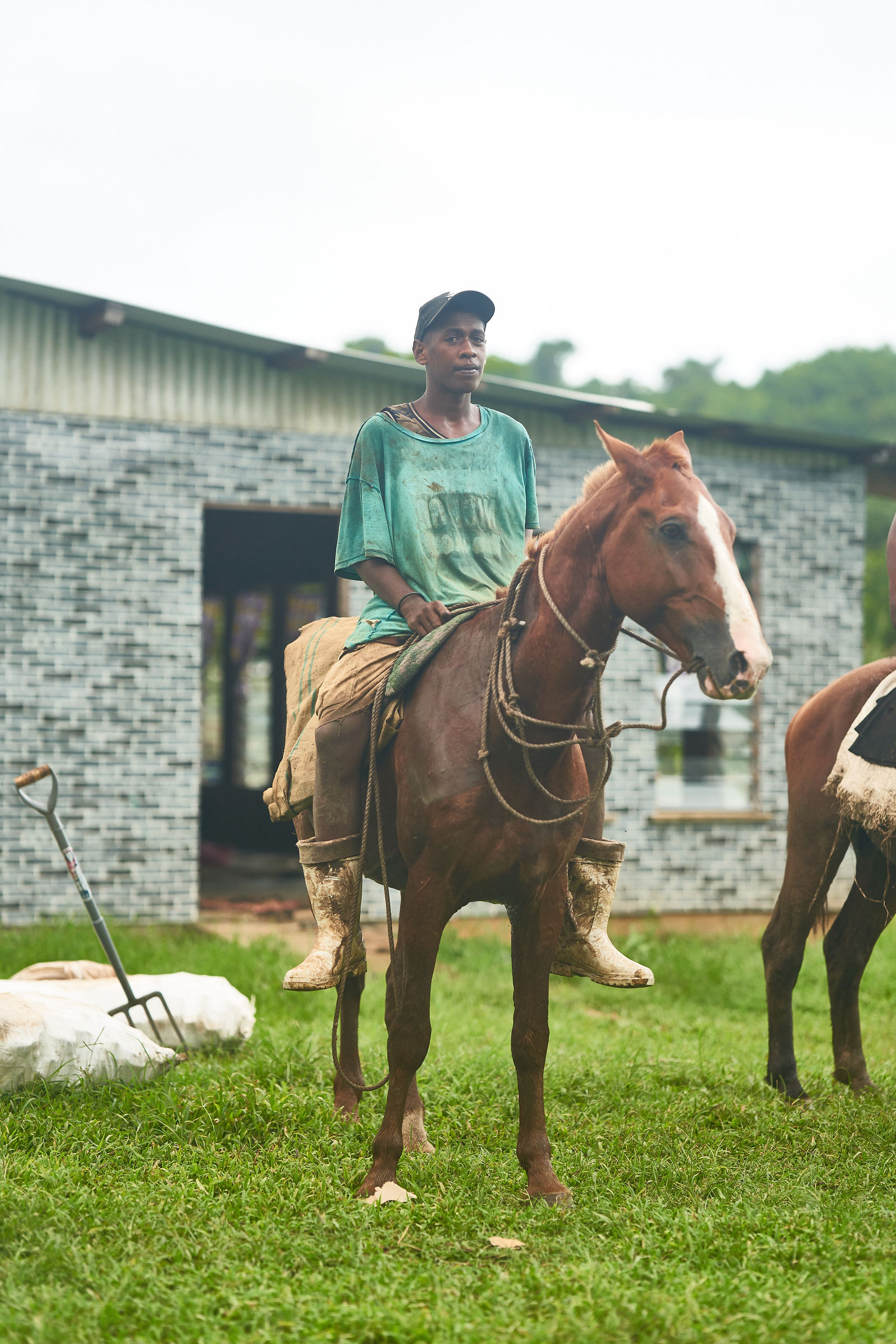 Photograph from Honestly's Kava brand shoot in Vanua Levu, Fiji