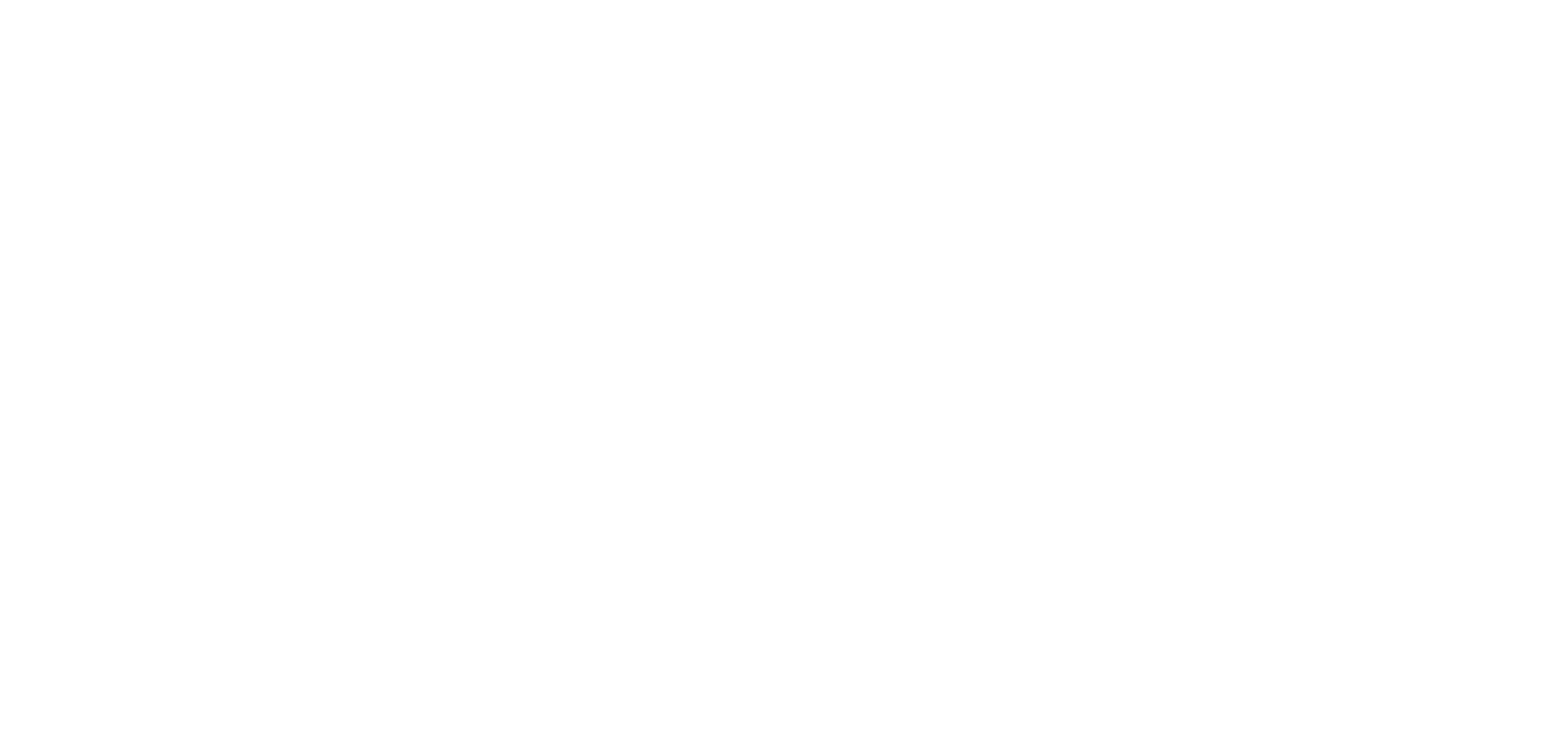 Book Launch Partners