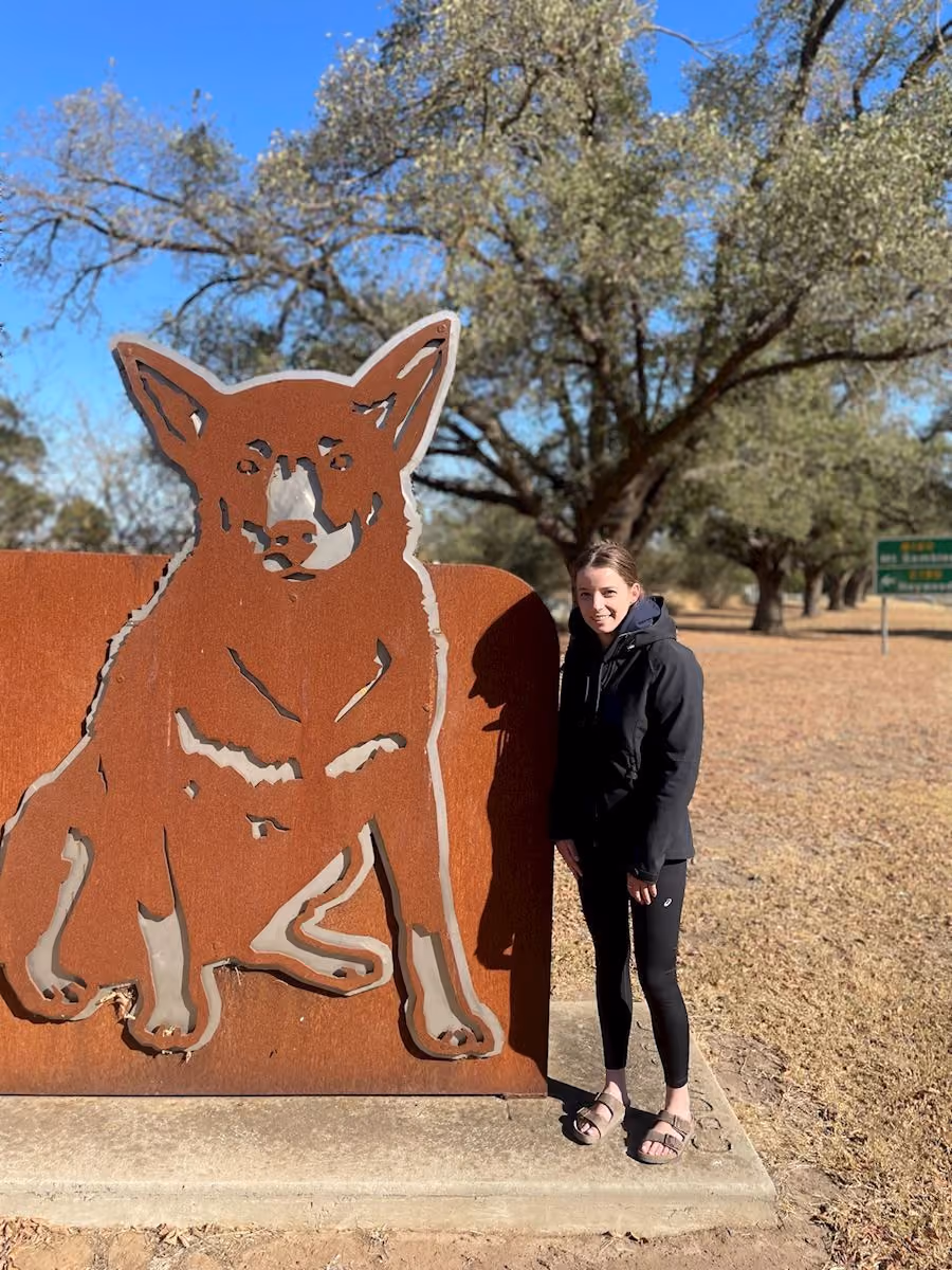 Abby, Operations Coordinator at Western Victoria Vets, beside a rusted metal kelpie sculpture