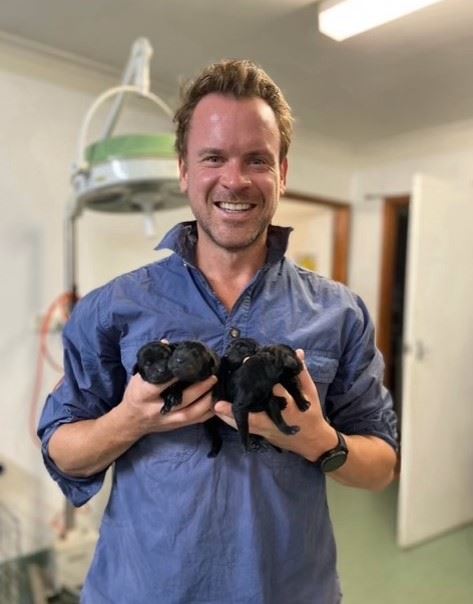 Alex Barrett, General Manager at Western Victoria Vets, holding two black puppies