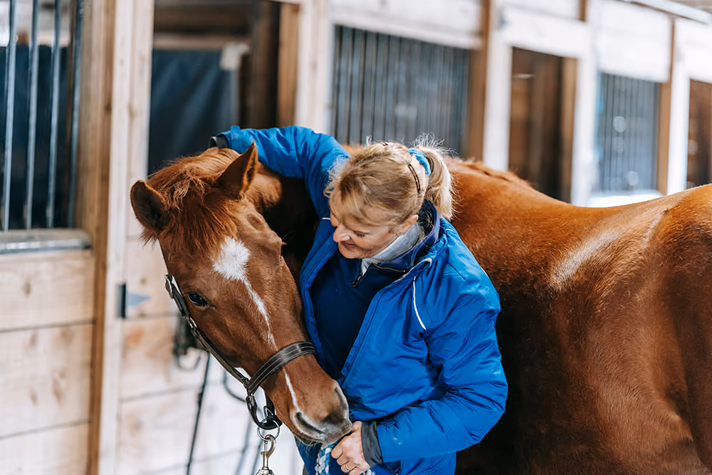 Vet with her arm around a chestnut horse outside the stables