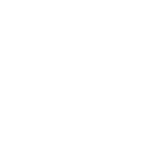 Local Government