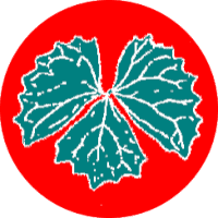 Vanillacash