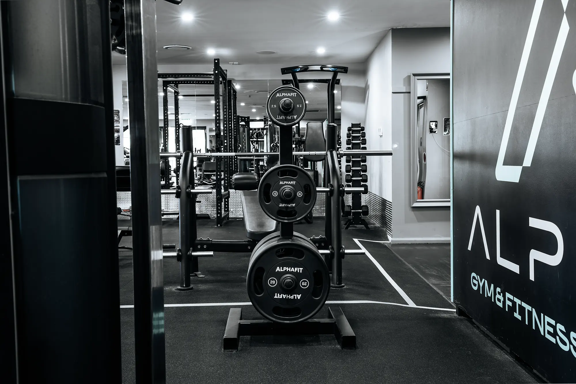 Weightlifting bench with ALPHAFIT plates in a modern gym with mirrors and dumbbells.