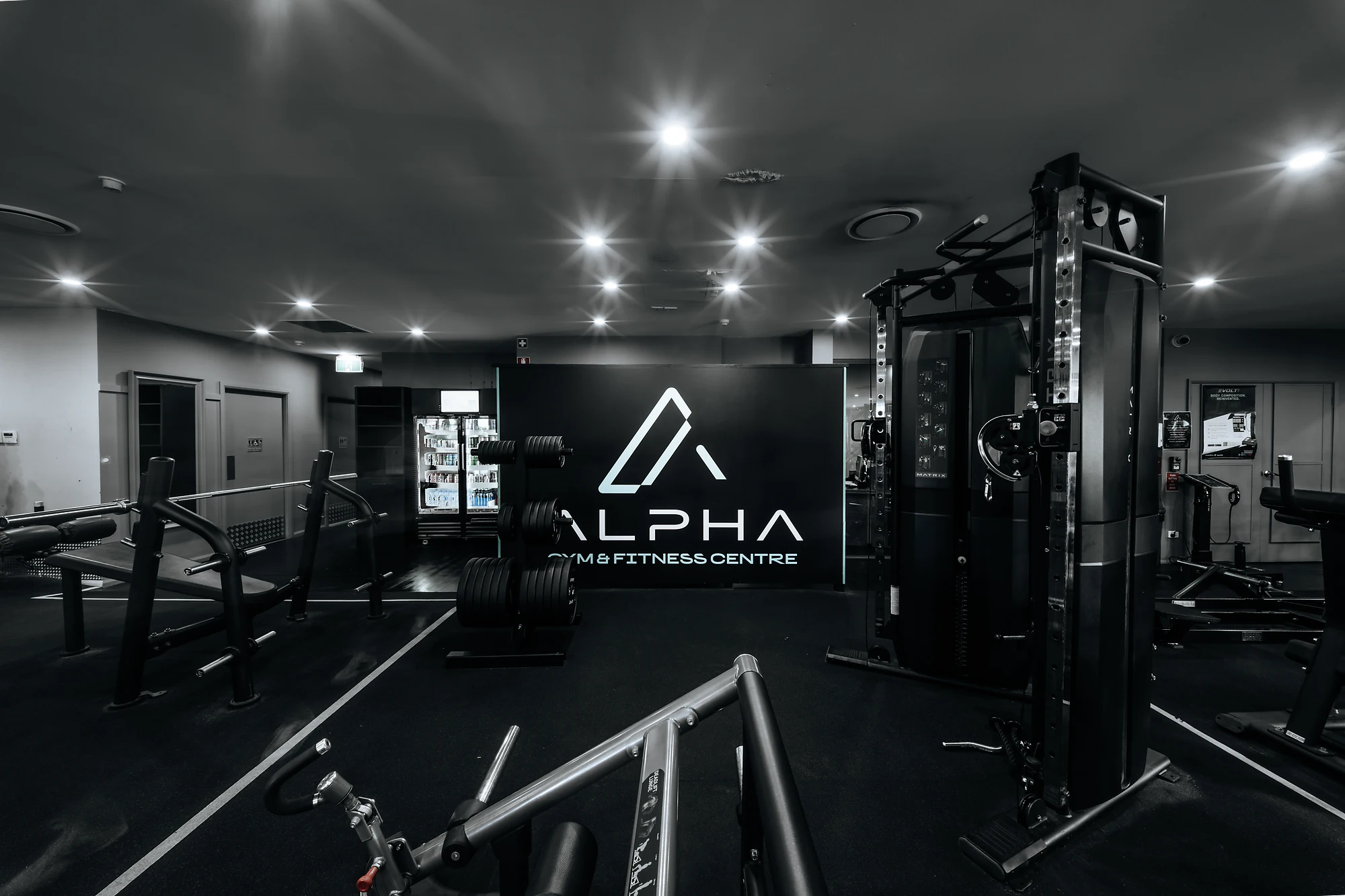 Interior of Alpha Gym with weight machines, barbell rack, and illuminated logo on back wall.