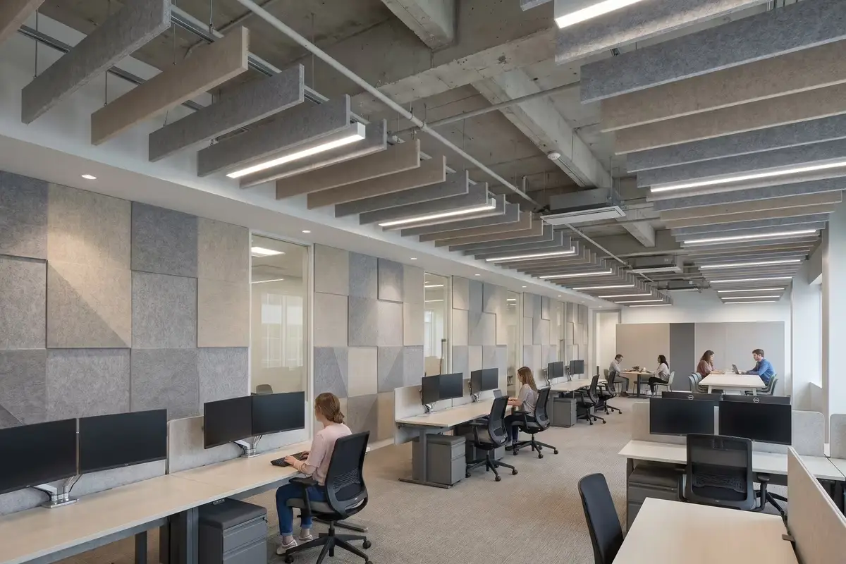 Open plan office with acoustic wall panels and ceiling baffles reducing noise
