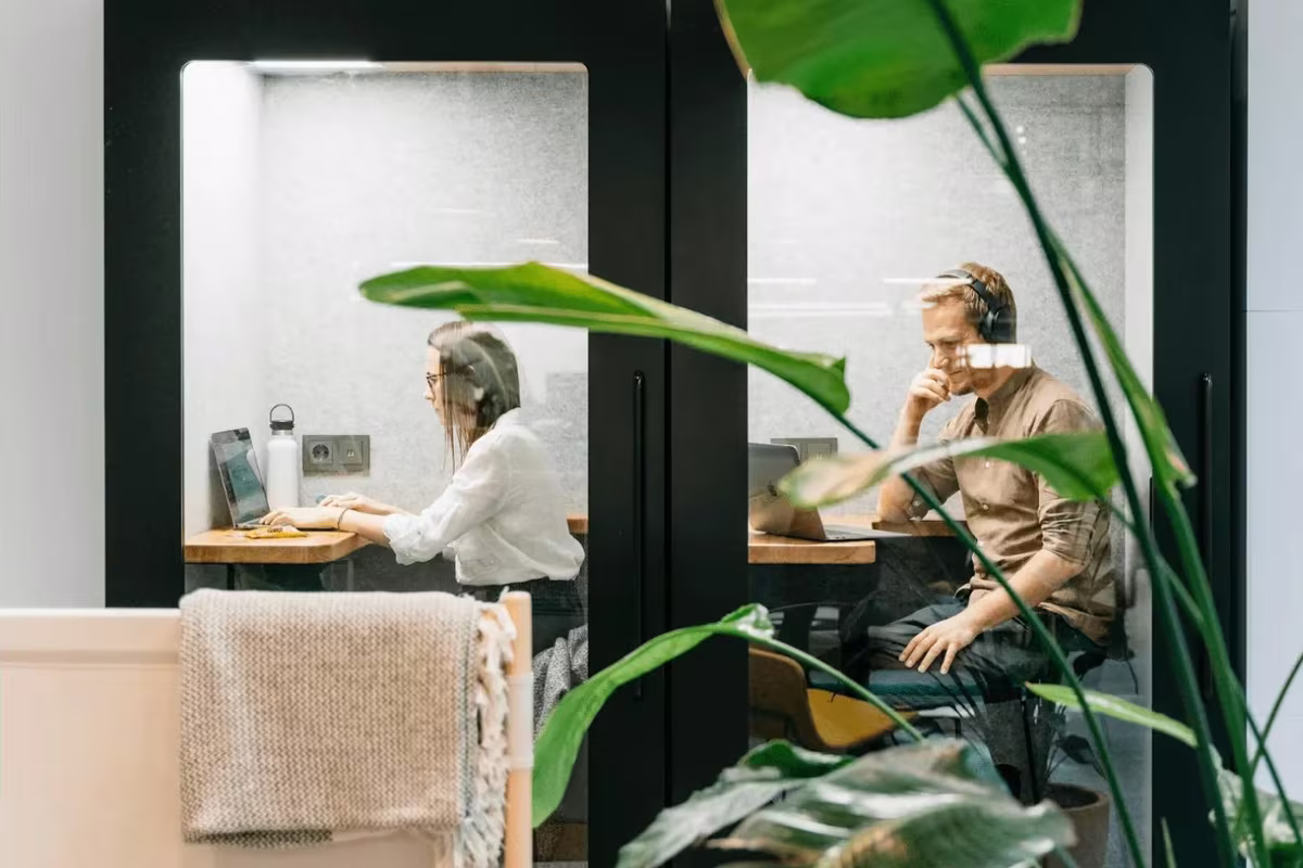 Two people working focused inside individual soundproof office booths surrounded by plants