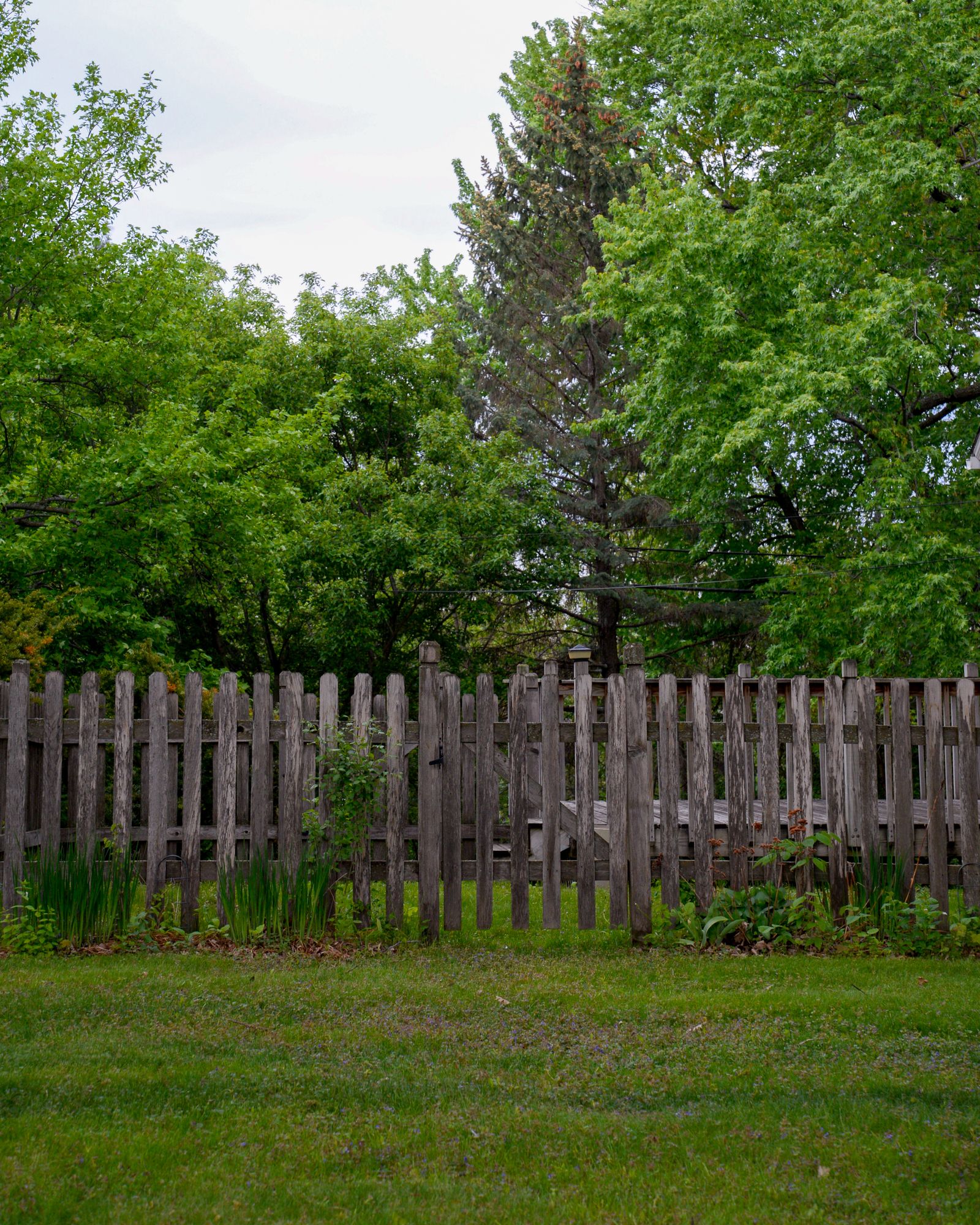 Fencing