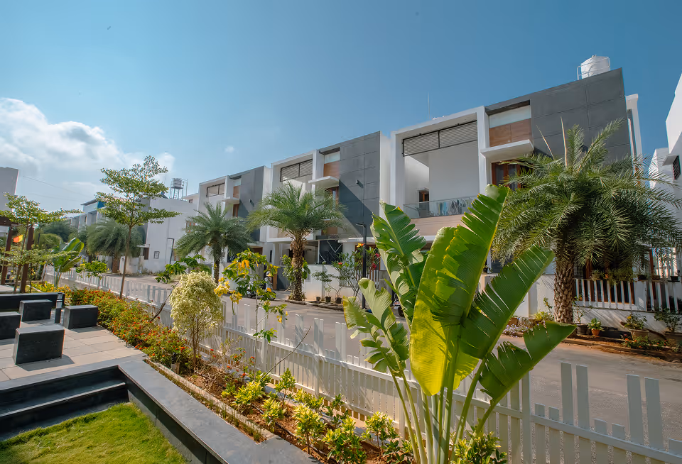 Modern white houses with balconies along a street lined with palm trees and green plants.