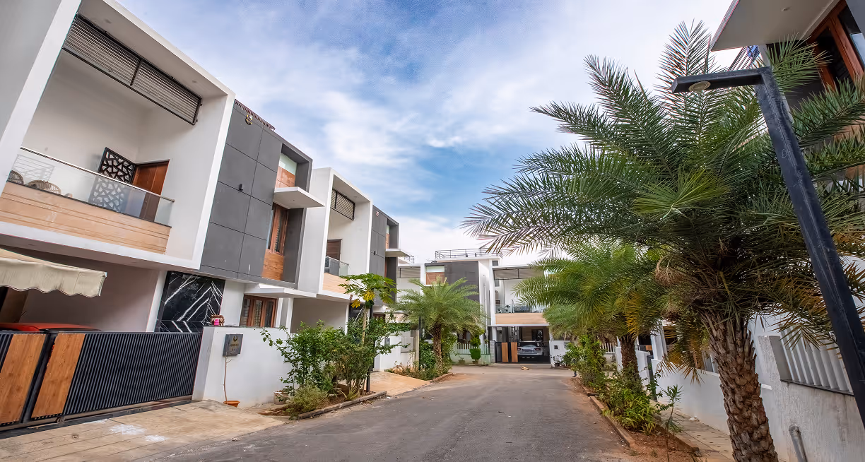 Modern residential street lined with palm trees and contemporary white and gray houses under blue sky.