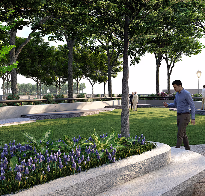 Man walking in a park near a curved flower bed with purple flowers and large trees around.