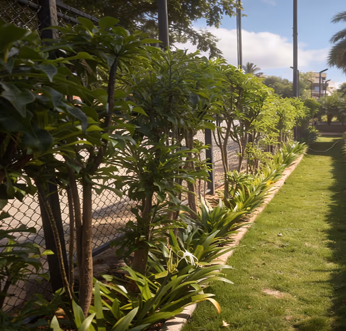 Row of small green trees and plants lining a fenced grassy pathway under a partly cloudy sky.