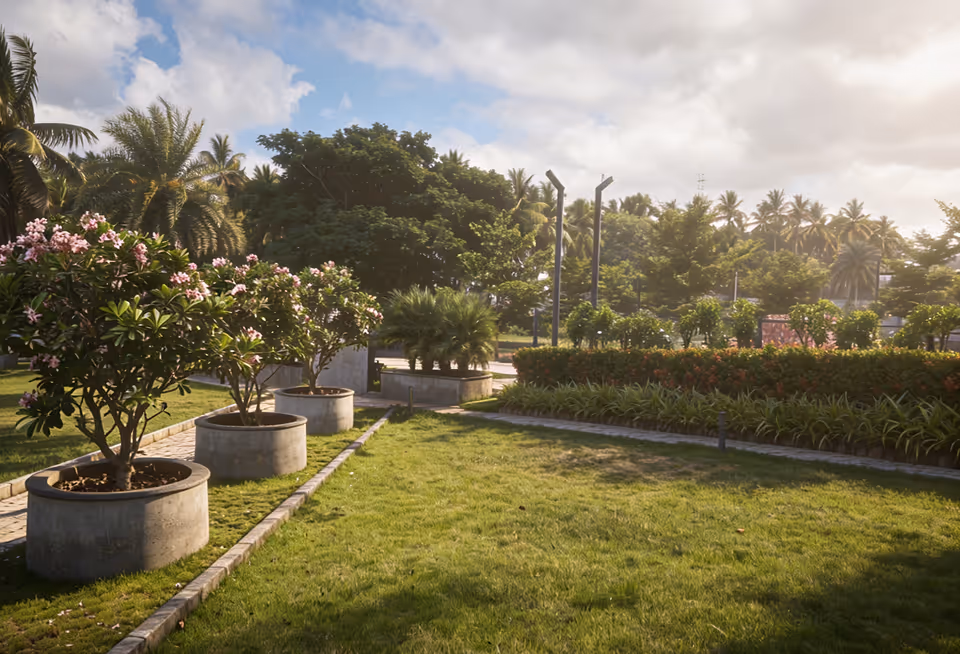 Sunny park with green grass, concrete plant pots with flowering bushes, and palm trees in the background.