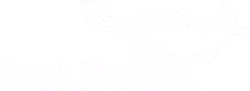 V-Guard logo with stylized running antelope above the brand name.