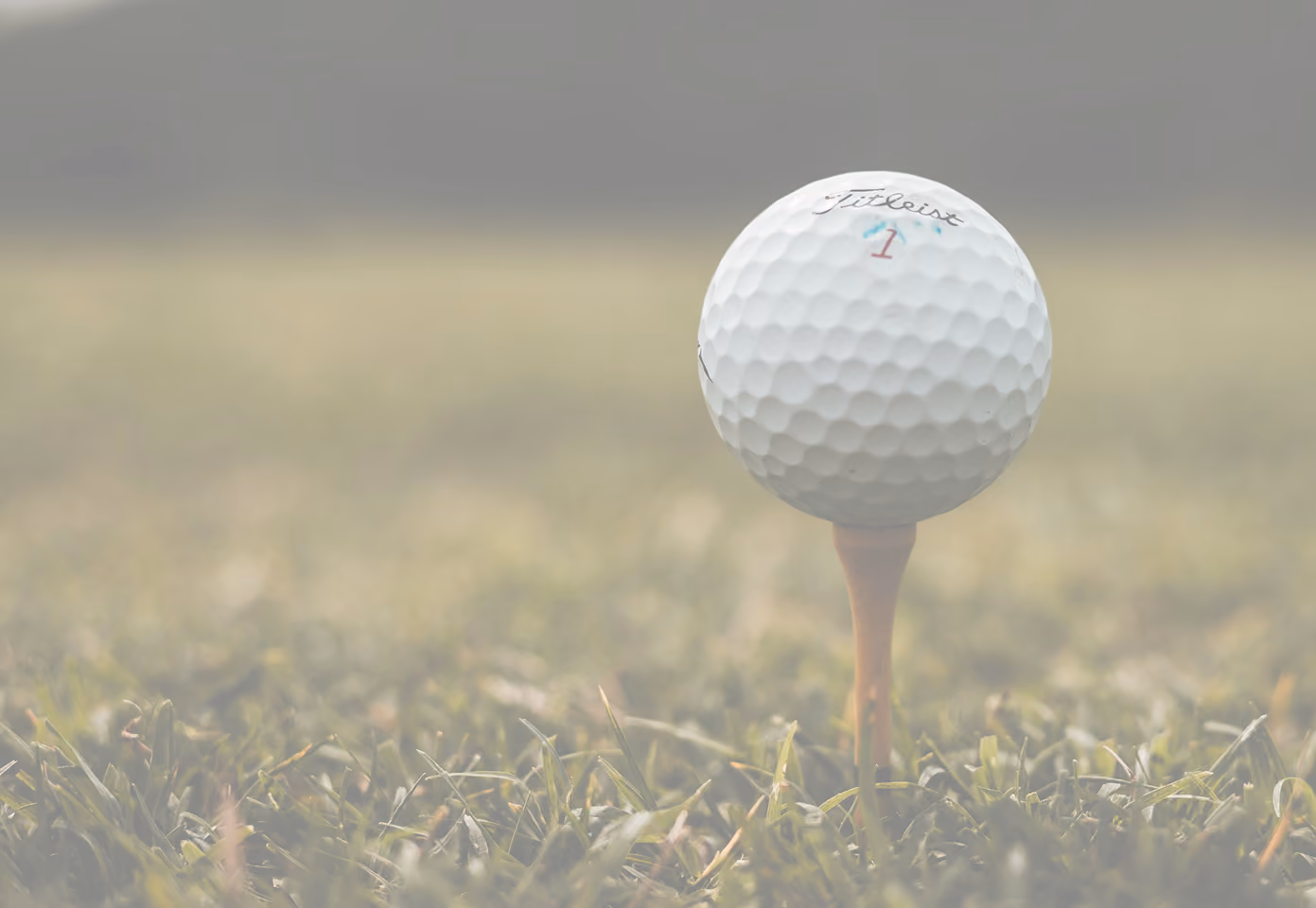 Close-up of a golf ball on the grass