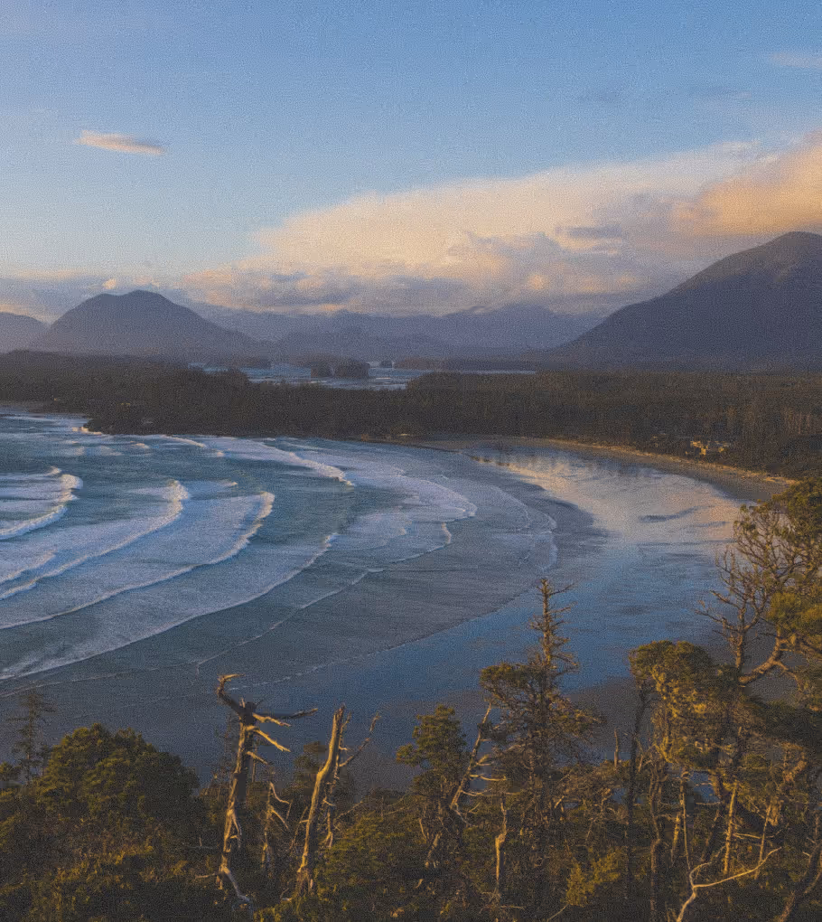 Overlooking the beach in Tofino
