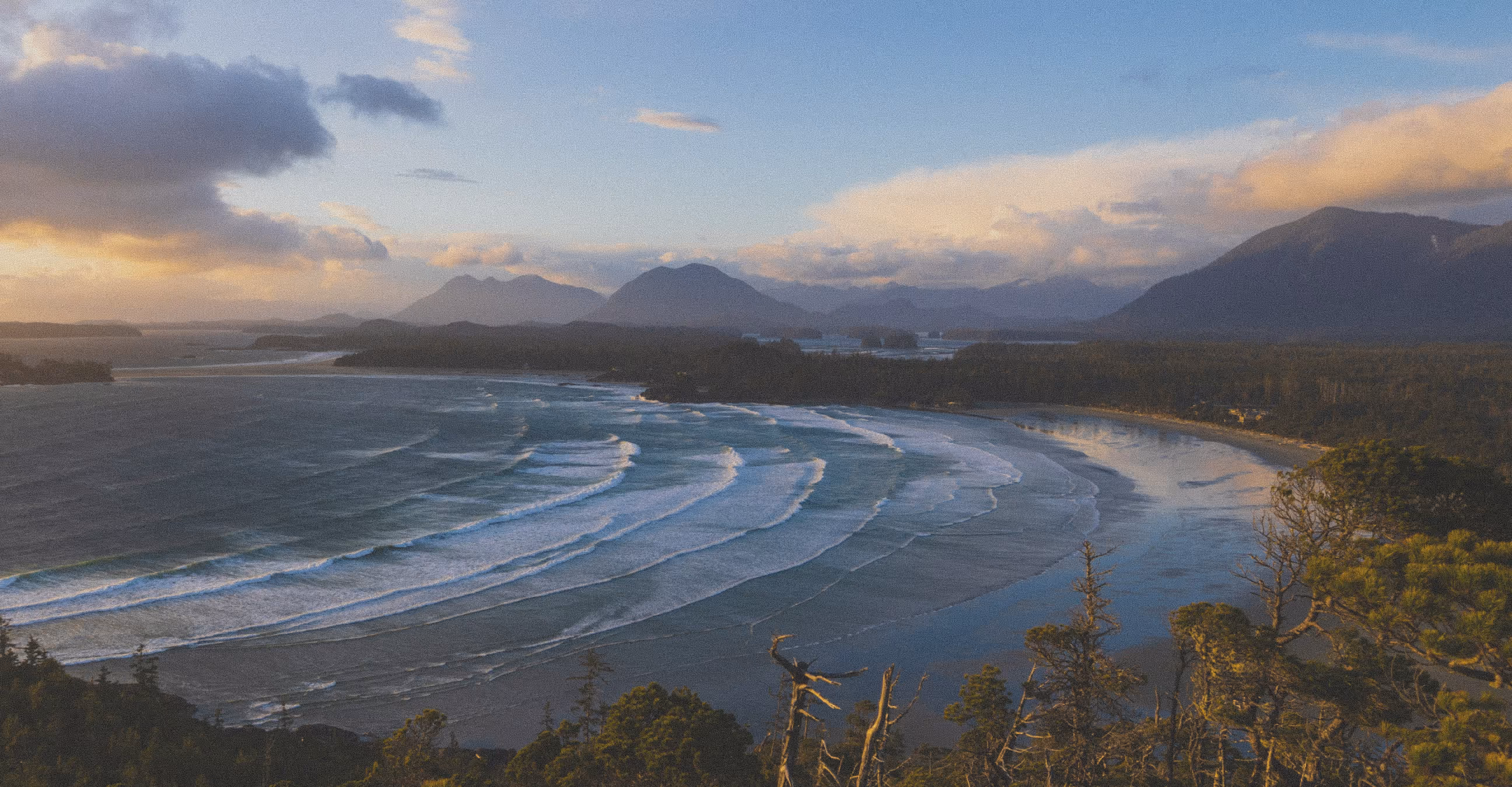Overlooking the beach in Tofino