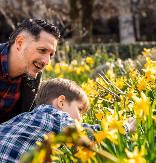 Un homme souriant et un garçon cueillant des fleurs jaunes dans un jardin ensoleillé.