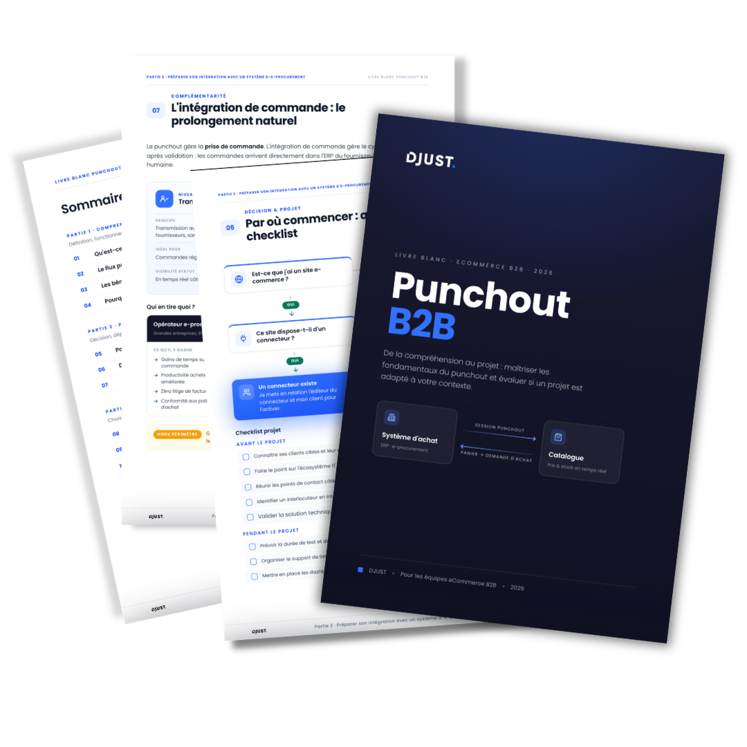 B2B Punchout Guide