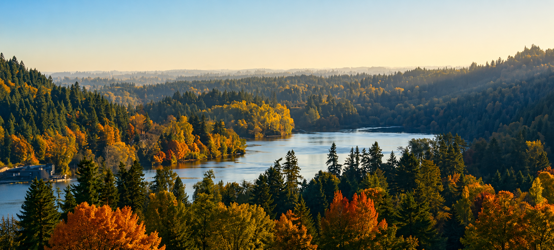 Willamette Falls stock image