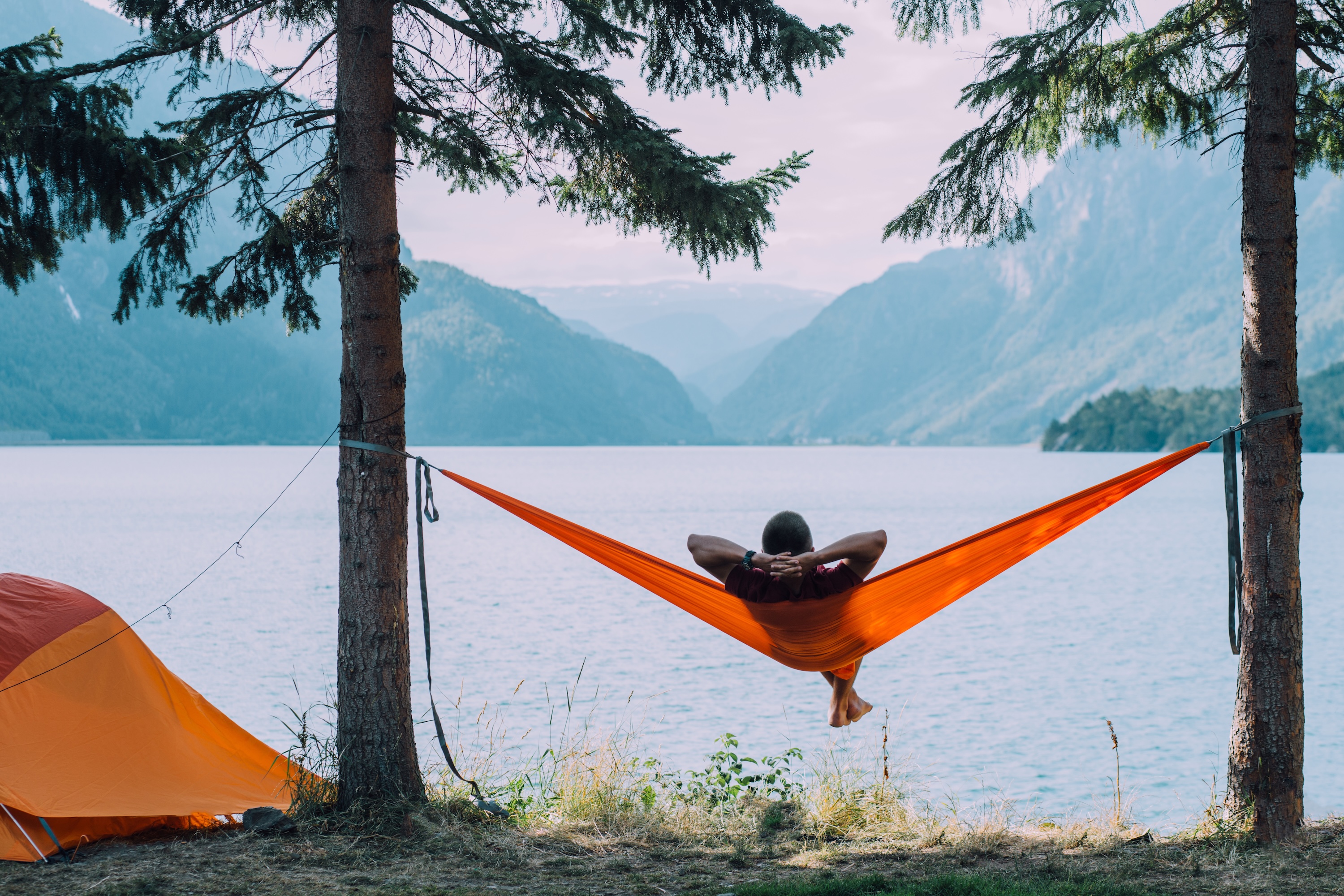 Hammock in forest sotck image