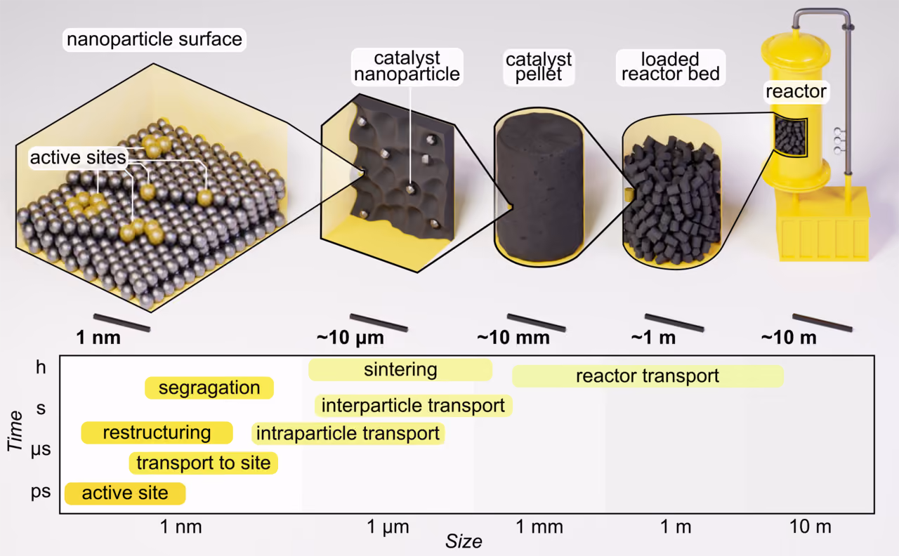 Specialty catalysis