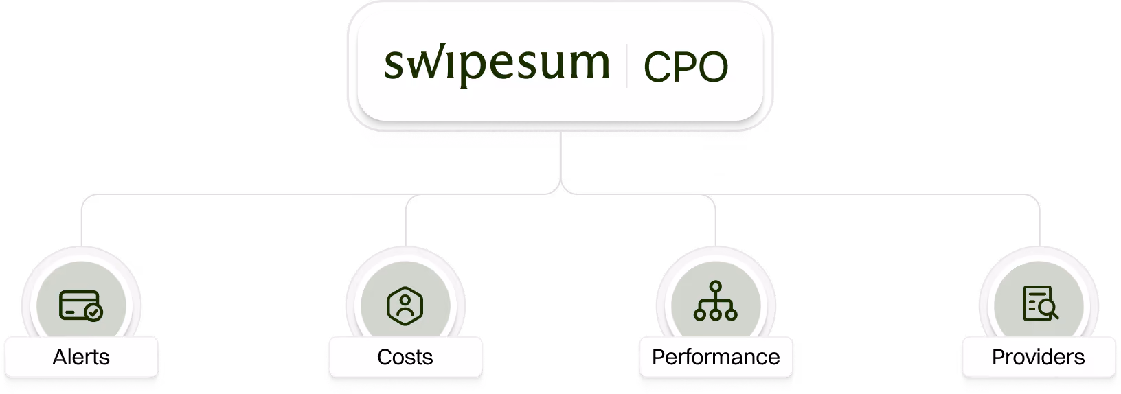 Swipesum Chief Payments Officer platform workflow