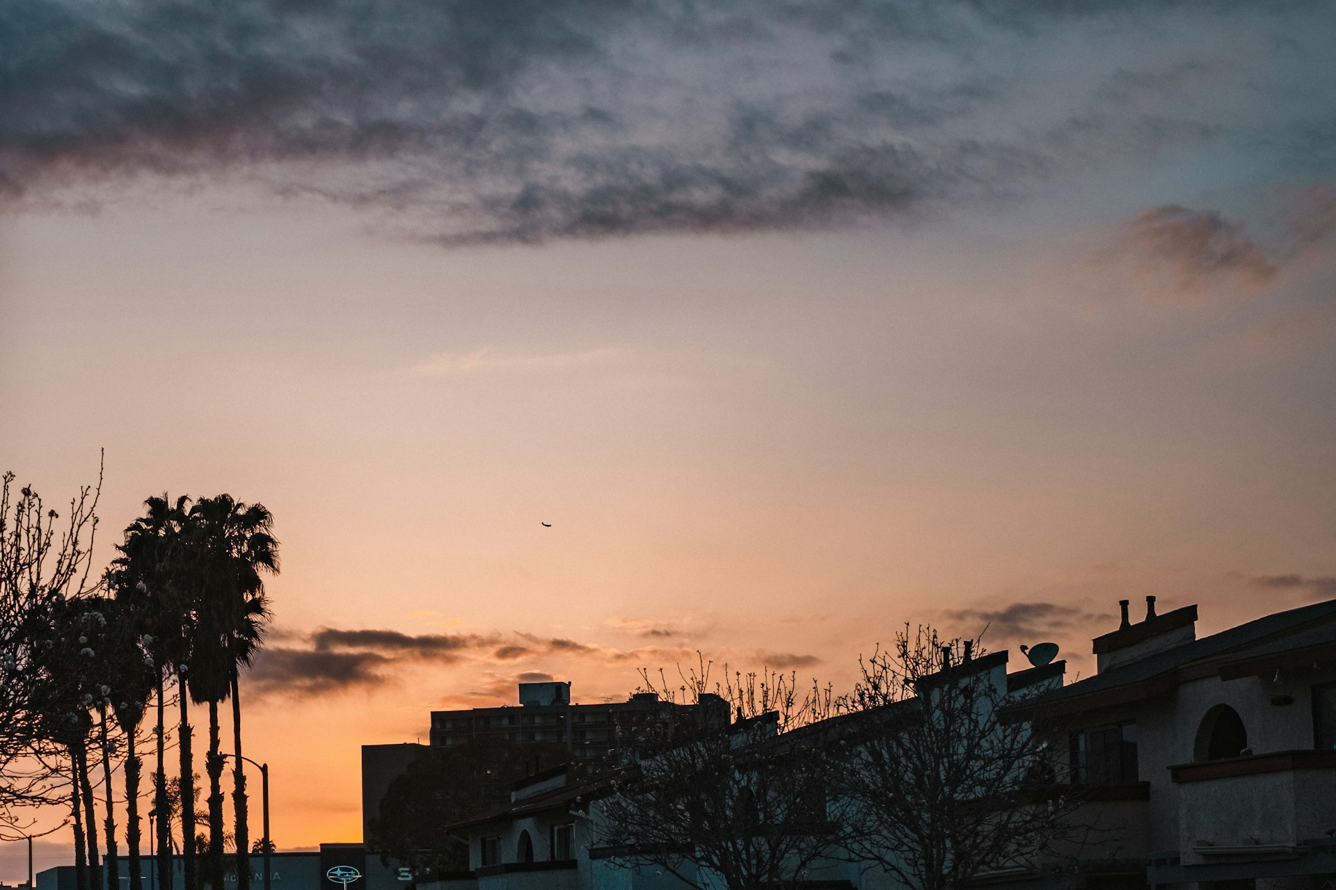 Inside Seacliff on the Greens: A Neighborhood Guide
