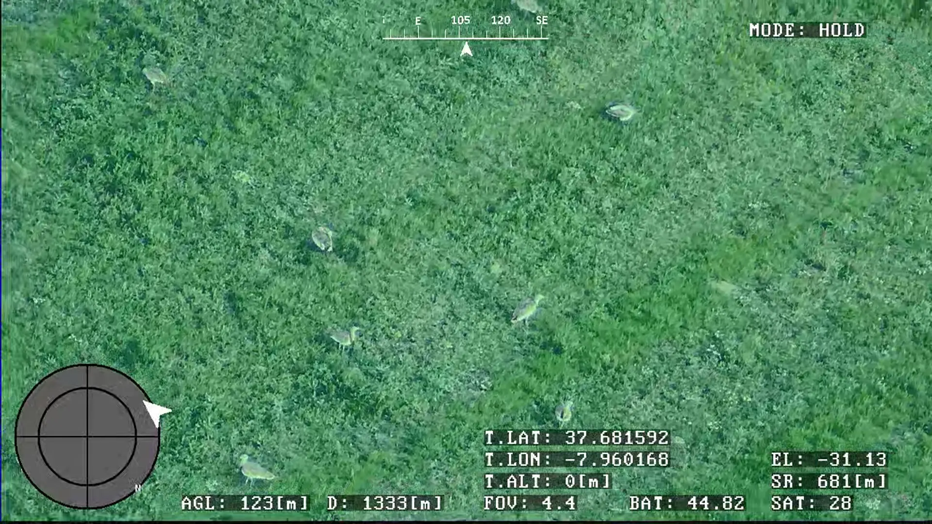 Green-tinted camera feed from the BVQ418 showing birds in grassland, with heading, altitude and target coordinates overlaid