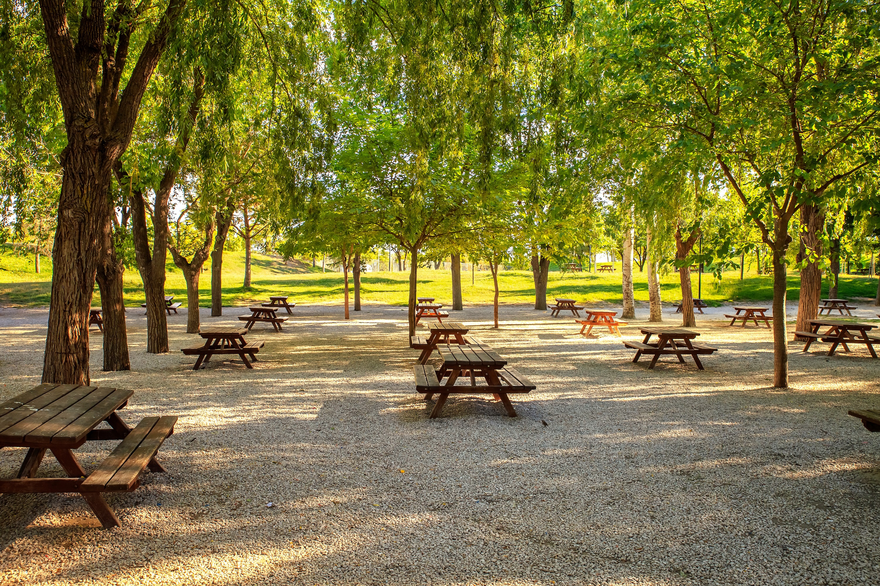 Picnic Tables Stock Image
