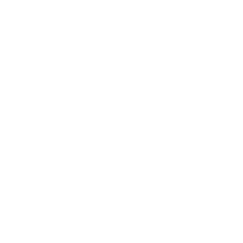Roadrunner Venture Studios Logo Icon