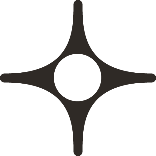 Roadrunner Venture Studios Logo Icon