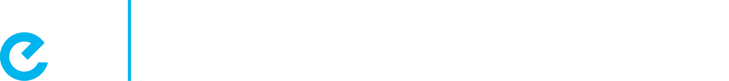 Ebike