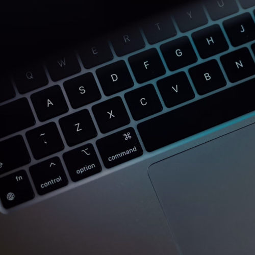 Webflow Development