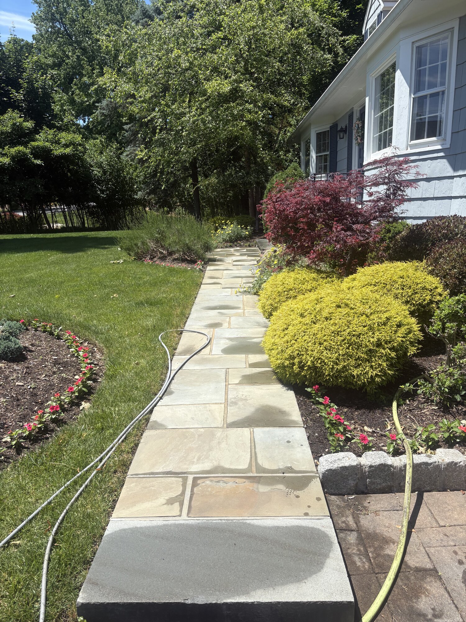 Clean paver walkway before and after professional pressure washing