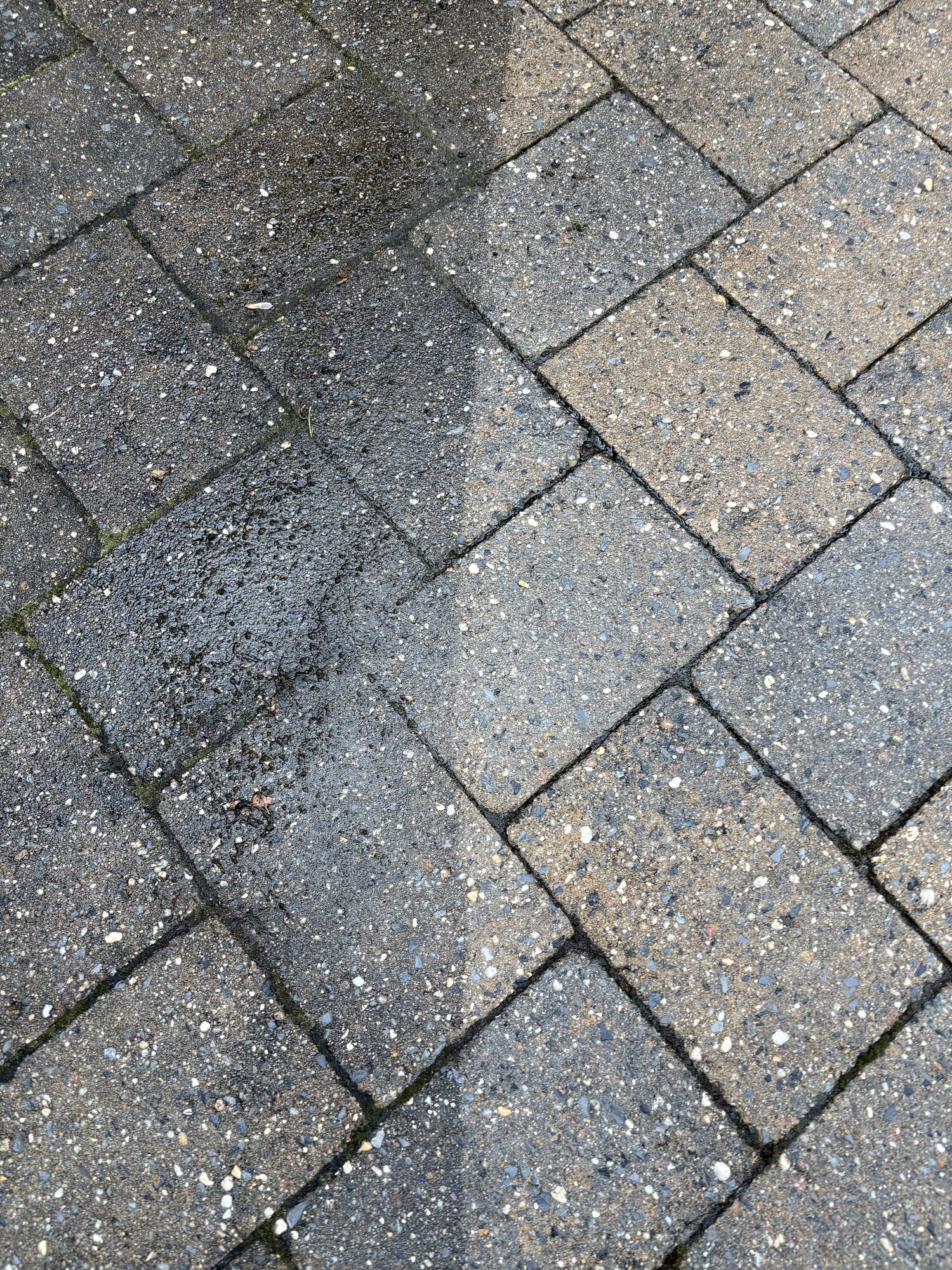 Paver driveway before and after professional pressure washing